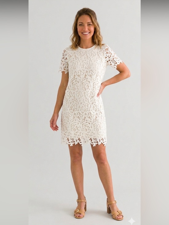Zara Dresses & Skirts - Zara White Lace Cutout Lined Short Sleeve Above the Knee Midi Dress Size Small